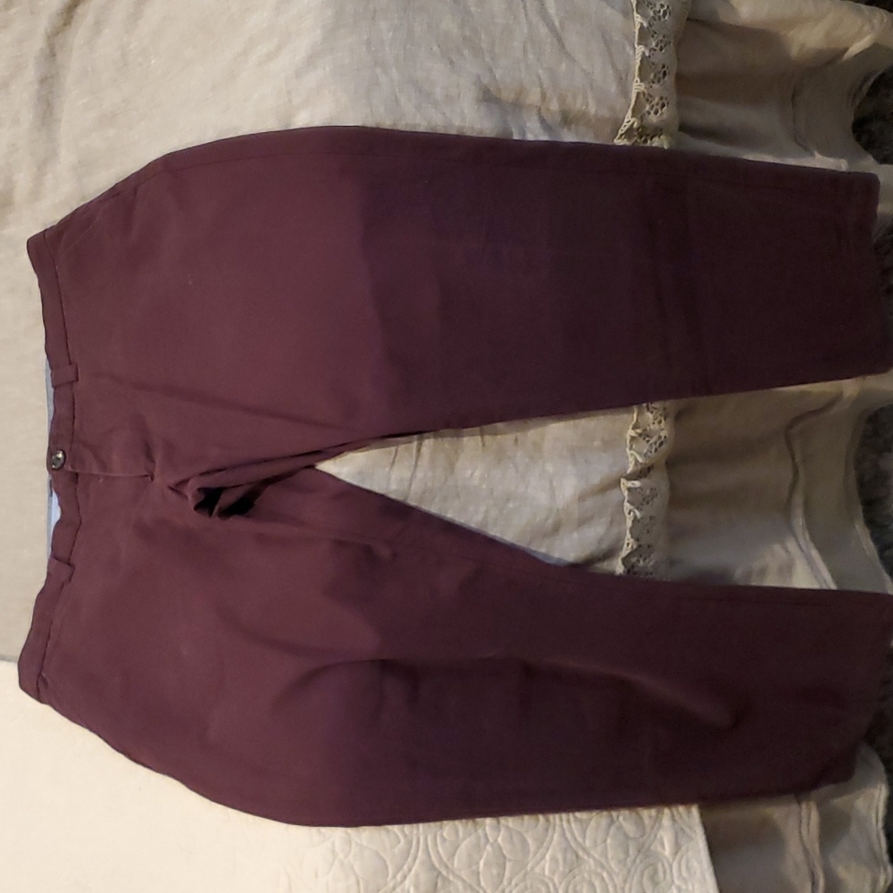 Banana Republic Chino Pant